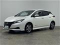 2021 Nissan Leaf