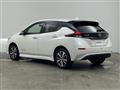 2021 Nissan Leaf
