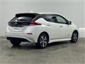 2021 Nissan Leaf
