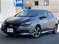 2022 Nissan Leaf