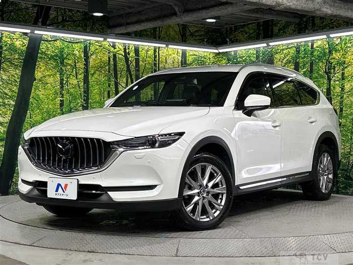 2017 Mazda CX-8