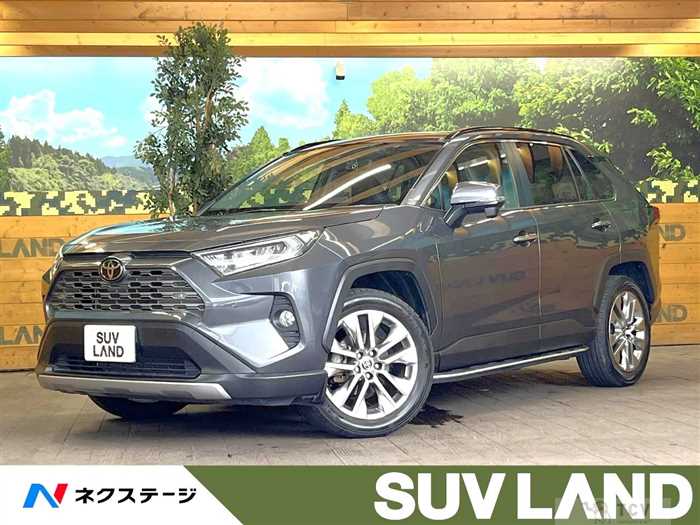 2020 Toyota RAV4