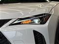 2020 Lexus Other