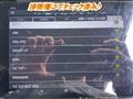 2010 Isuzu Isuzu Others