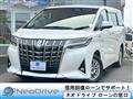 2019 Toyota Alphard G