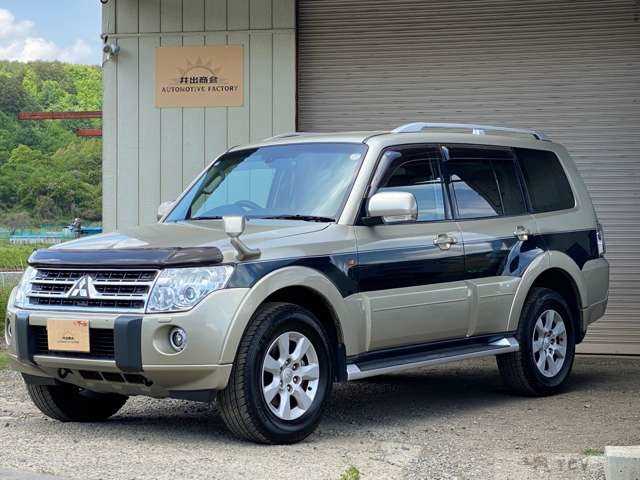 2010 Mitsubishi Pajero