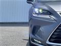 2021 Lexus NX