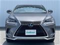 2021 Lexus NX
