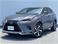 2021 Lexus NX