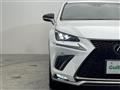 2019 Lexus NX