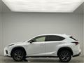 2019 Lexus NX