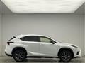 2019 Lexus NX