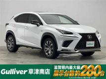 2019 Lexus NX