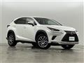 2019 Lexus NX