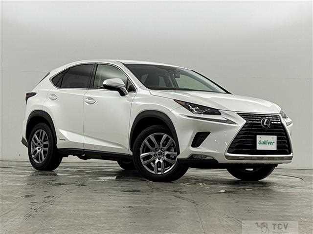 2019 Lexus NX