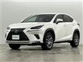 2019 Lexus NX