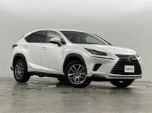 2019 Lexus NX