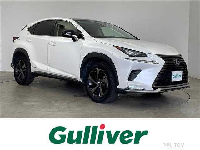 2019 Lexus NX