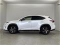 2019 Lexus NX