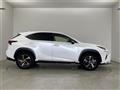 2019 Lexus NX