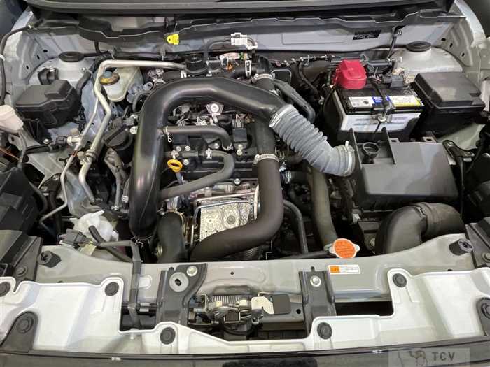 2019 Toyota Raize