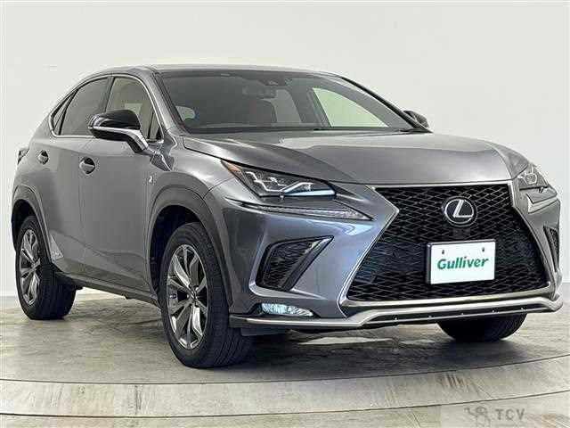 2019 Lexus NX