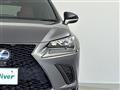 2019 Lexus NX