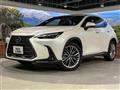 2022 Lexus NX