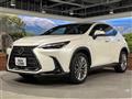2022 Lexus NX