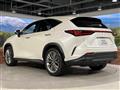 2022 Lexus NX