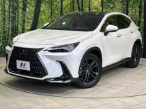 2023 Lexus NX