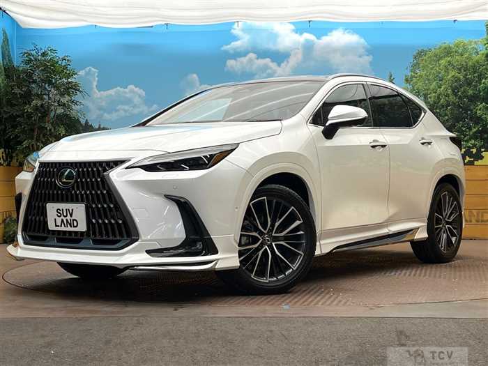 2024 Lexus NX