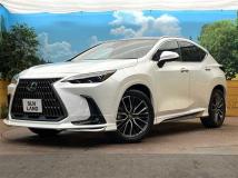 2024 Lexus NX