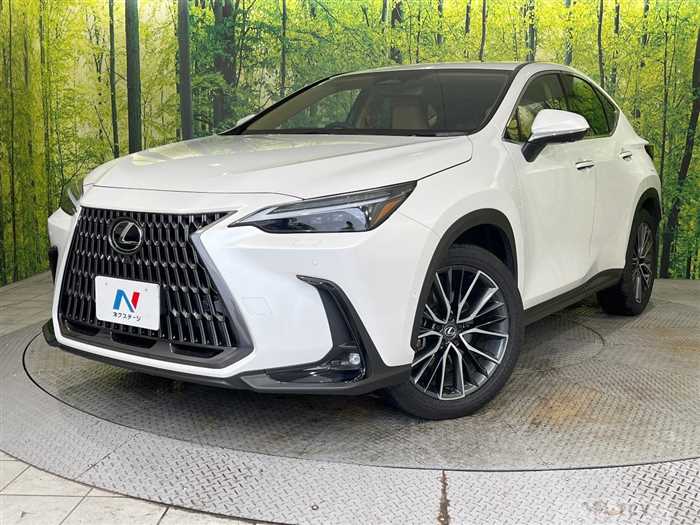 2024 Lexus NX