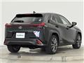 2019 Lexus UX