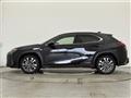 2019 Lexus UX