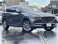 2019 Mazda CX-8