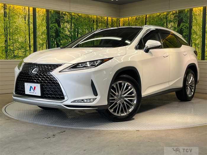 2019 Lexus RX