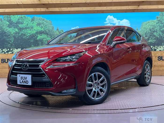 2016 Lexus NX