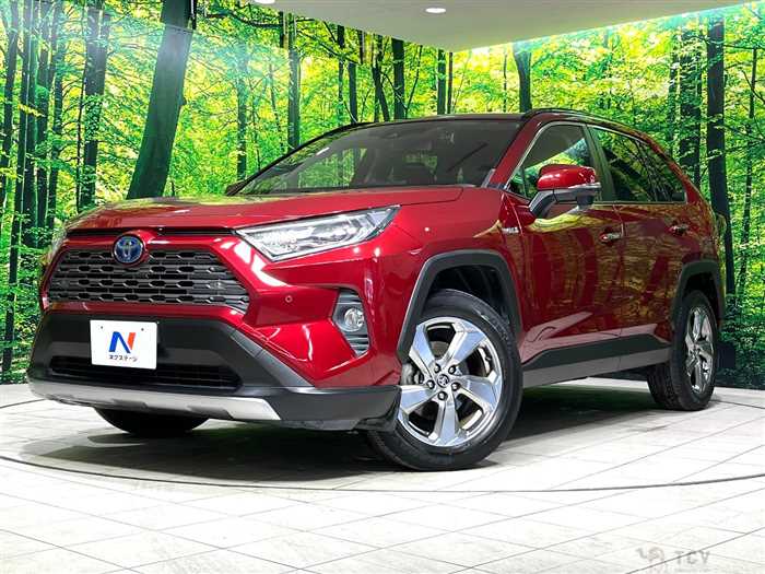 2019 Toyota RAV4