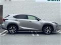 2015 Lexus NX