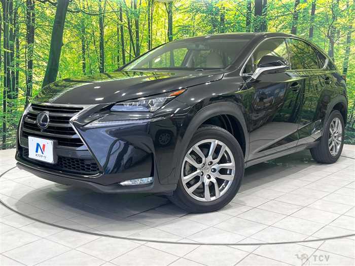 2017 Lexus NX