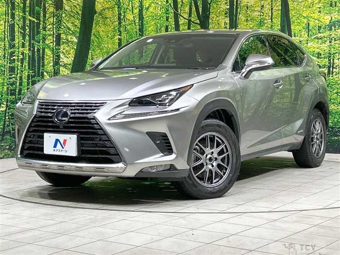 2018 Lexus NX