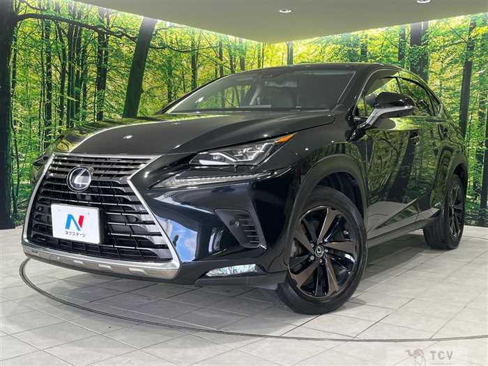 2018 Lexus NX