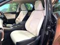 2018 Lexus NX