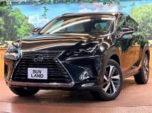 2018 Lexus NX