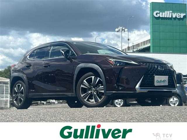 2020 Lexus UX