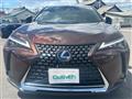 2020 Lexus UX