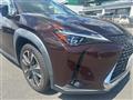 2020 Lexus UX