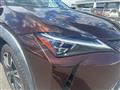2020 Lexus UX